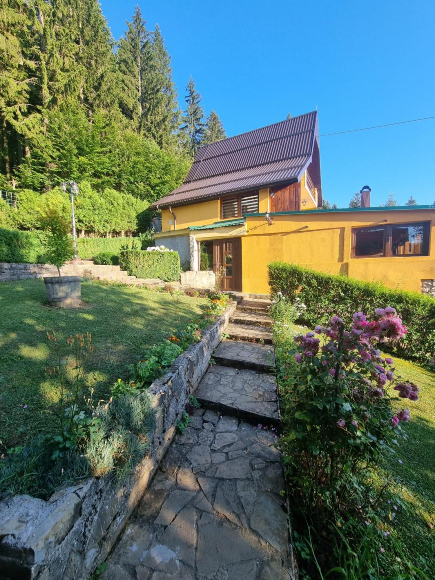 Green Forest Vlasic Exterior photo