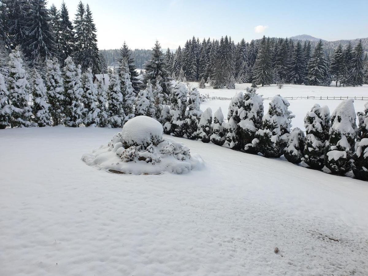 Green Forest Vlasic Exterior photo